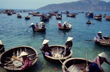 Vietnam going all out for growth in seafood exports