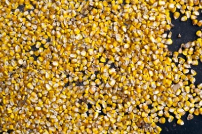 Bumper Chinese corn harvest a ‘relief’ for beleaguered US production