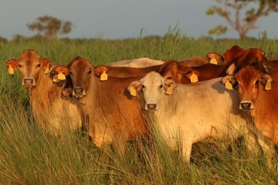 Australian livestock farmers have a strong story to tell that taps into consumer demand