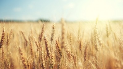 Wheat output is set to fall slightly year on year. Photo: iStock - IakovKalinin