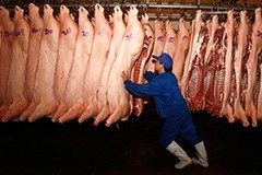 Positive outlook for China’s pork output