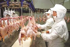 900 arrested in latest Chinese meat sting