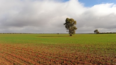 Foreign ownership might be up, but farms are still mostly Australian