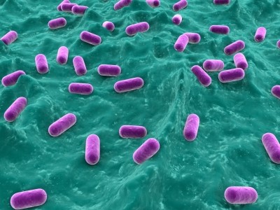 Probiotics may ease eczema for children: RCT data