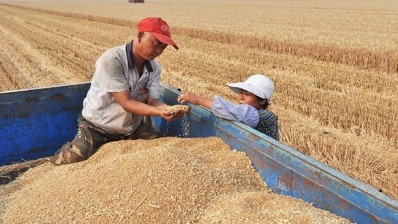 China to keep up high grain production tempo