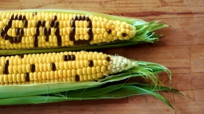 Scientists need to ‘rethink’ approach to GMO engagement with public