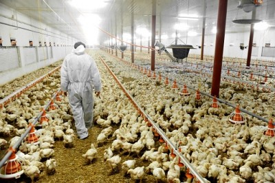 Cargill said migrant abuse in Thailand's poultry business is 'a very sad situation'