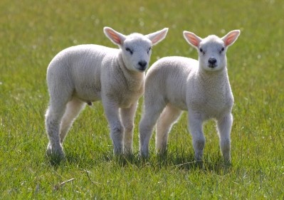 Volume down but value up for New Zealand lamb exports