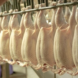 Thailand’s broiler meat industry under pressure, says GAIN report