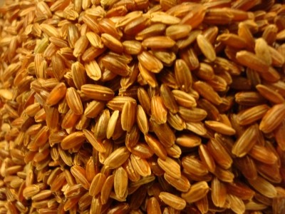 China opens up to Indian basmati rice