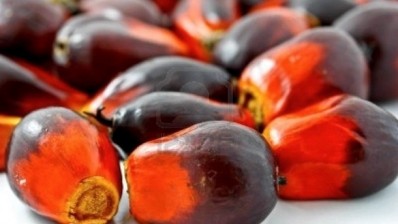 Palm oil demand growth offers opening for niche certified producers