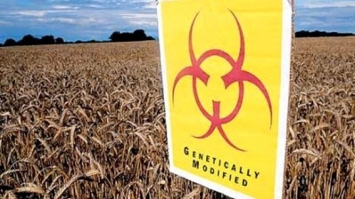 Fsanz calls for public submissions on herbicide-tolerant modified corn