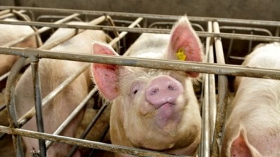 Chinese pork prices surpass five-year peak