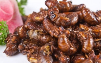 Edible insects: set for mainstream manufacturing success