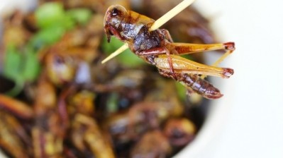 There is significant regulatory uncertainity around the standing of edible insects in many countries. ©GettyImages