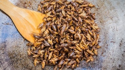 The first GAP for crickets has been released in Thailand. ©iStock