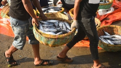 The reduction of IUU fishing may be enough to facilitate the recovery of fisheries without lowering the catch by the domestic fleet. ©GettyImages