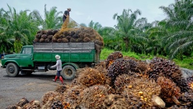 The plan to buy more Indonesian palm oil is aimed at helping smallholder farmers, according to China premier Li Keqiang. ©Getty Images
