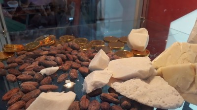 Jiangsu Wuxi Taihu Cocoa Food Co is now manufacturing chocolate gold coins, and examining further product opportunities.