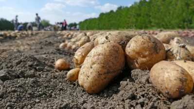 Furore over PepsiCo India’s lawsuit against four Indian farmers over the latter’s alleged planting of a patented potato variety has yet to die down, despite the firm’s willingness to withdraw the lawsuit and ‘amicably’ settle. ©Getty Images