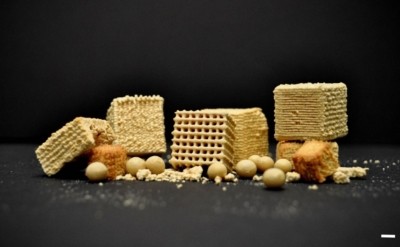 Freeze dried 3D-printed okara snacks with various infill levels and sizes. ©ACS Food Science and Technology
