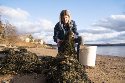 Seaweed farming can help to address food security and sustainability issues ©Getty Images
