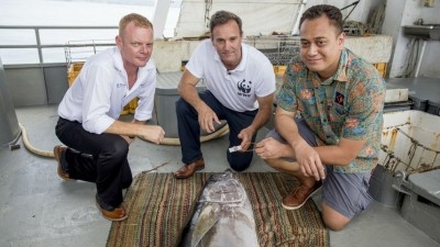 Brett “Blu” Heywood, SeaQuest Fiji CEO, Dermot O'Gorman, WWF-Australia CEO, and Ken Katafono, TraSeable Solutions CEO,  next to a yellowfin tuna about to be tagged with QR code. © WWF-Australia / Shiri Ram