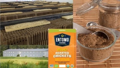 Entomo Farms raises and processes edible insects for human consumption