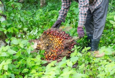 Olam has a network of more than 700,000 smallholder farmers worldwide, including palm oil producers in Gabon / Pic: Getty/Wirachai