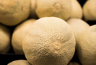 Rockmelon (cantaloupe) is suspected to be the source of the outbreak