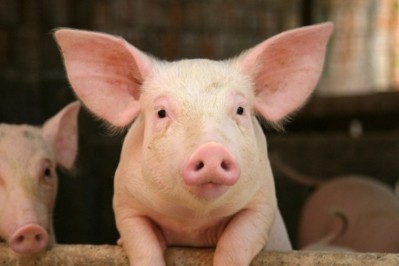 A second outbreak of African Swine Fever has been reported in China
