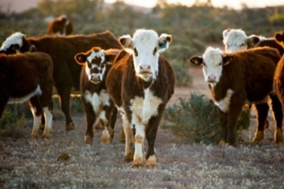 Drought hitting cattle farmers