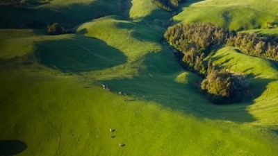 A new strategy has been unveiled by Beef and Lamb New Zealand to help farmers