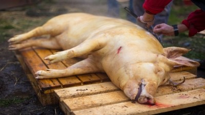 Chinese authorities take action on ‘dead and diseased’ pig sellers