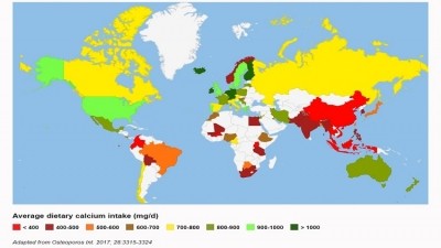 The International Osteoporosis Foundation has published an interactive map on calcium intake in 74 countries. 