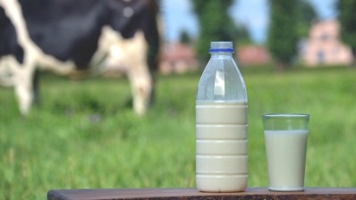 Researchers say the A1 beta-casein in cow’s milk is a primary causal trigger of type 1 diabetes. ©Getty Images