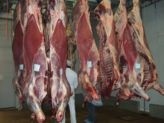 NZ union concerned over meat inspection changes