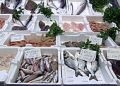 India's marine and fish industry growing fast