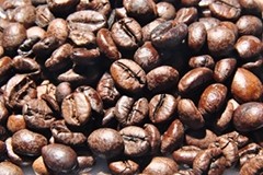 Prova specialises in coffee extracts, among other flavours