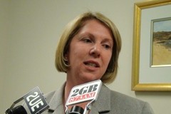 Health secretary Catherine King said the advisory council was representative
