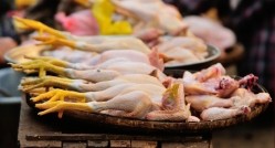 Demand for meat, especially poultry, is rising in Myanmar 