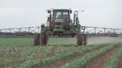 The FDA says US food is safe from pesticide contamination.