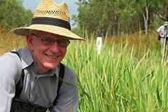 Professor Robert Henry searches for wild rice in Queensland's Lakefield National Park.