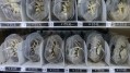 A vending machine in China contains live hairy crabs.