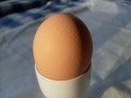 Eggs recalled in Germany over 'excessive' dioxin levels  