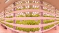 Singapore’s largest indoor farm to give food firms and national food security a boost