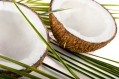 Coconut oil ‘poison’ row: Indian government fires back over Harvard professor’s allegations