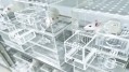 Japan animal testing: 13 major food and beverage manufacturers agree ban practice unless required by law 