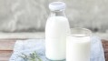 Safety shorts: India milk scandal, new Singapore food safety standards and more in our food safety round-up