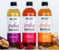 The mojo behind MOJO: Coca-Cola’s recently acquired kombucha brand shares secrets of success